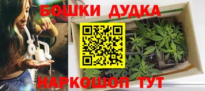 дживик Камышлов