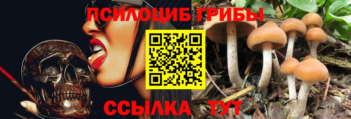 Псилоцибиновые грибы мицелий Лабинск